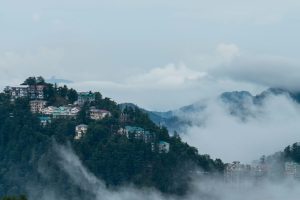 tahir-ansari-e3orsiJa178-unsplash